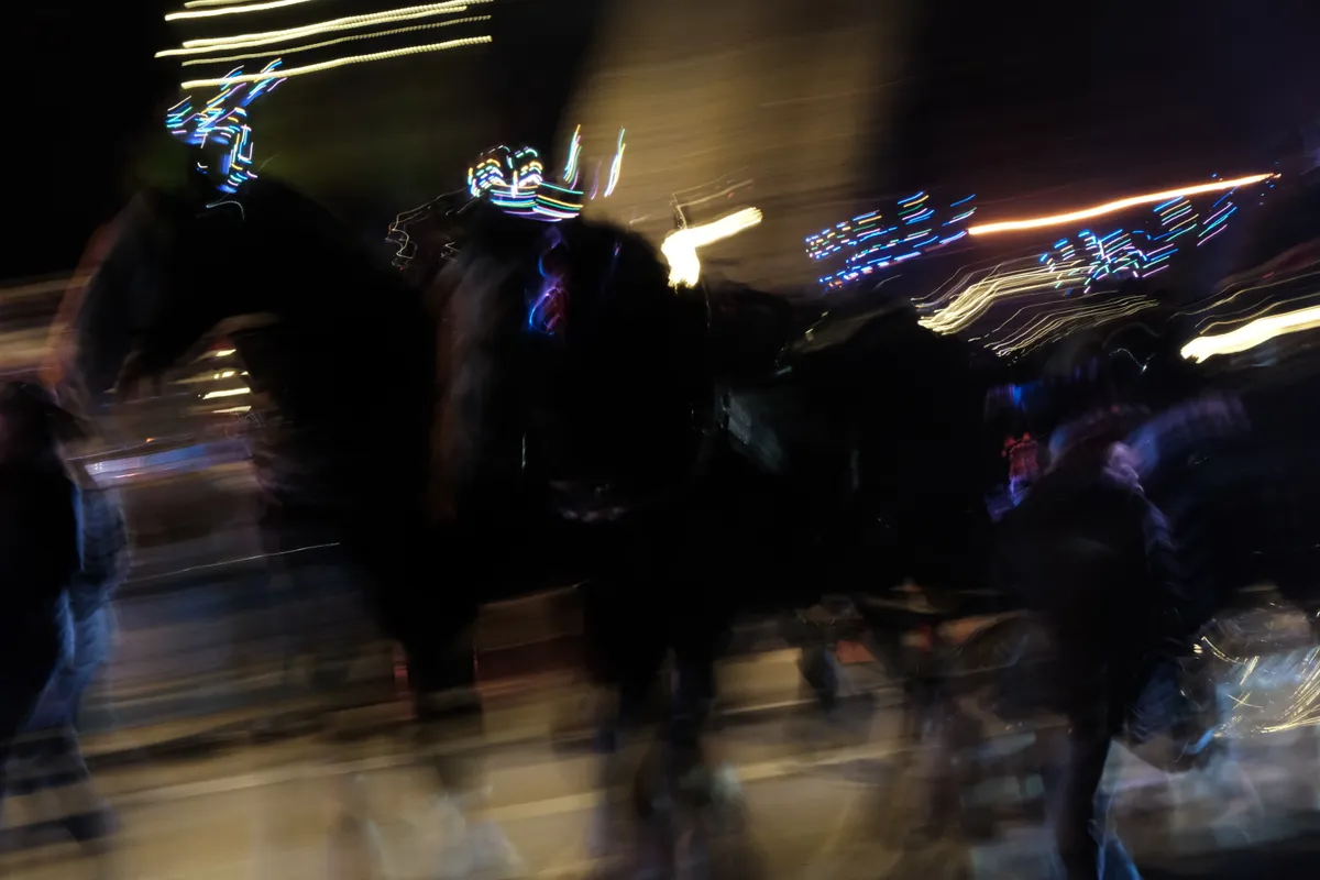 blurry image of horse with lights around them